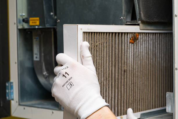 Best Residential Air Duct Cleaning  in Newark, CA